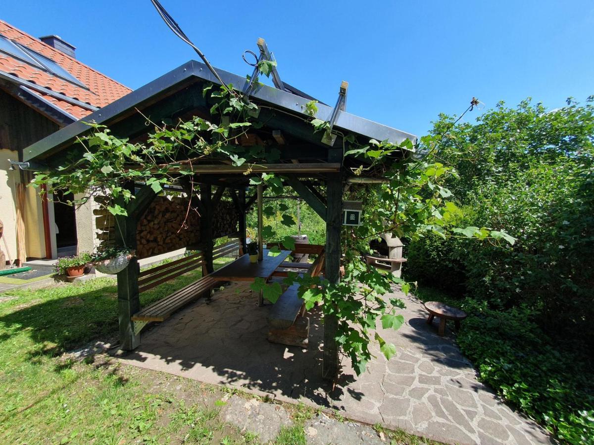 Das Gruene Haus Am Hexenstieg Rubeland Exterior foto